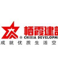 棲霞建設董事會決議公告 選舉江勁松為董事長、總裁及投資興辦實業(yè)